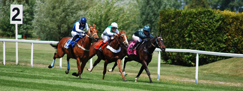 競馬で稼ぐオッズ戦略